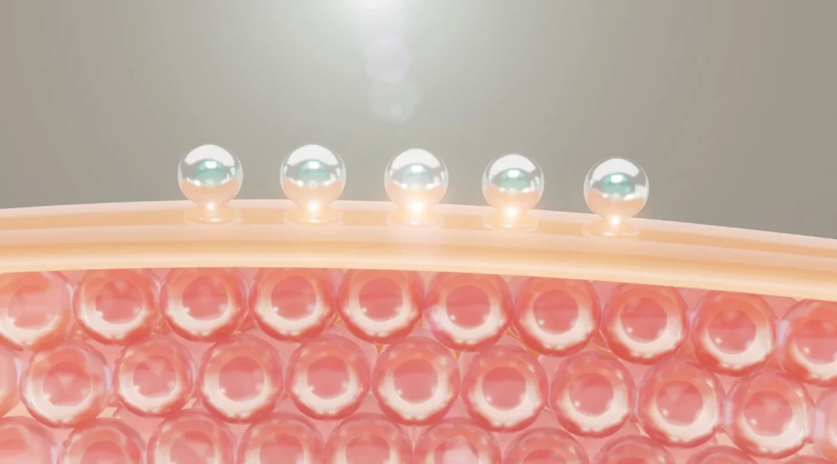 Mewon Korean Cosmetics - Stem Cell ในเวชสำอาง ที่สุดแห่งเทคโนโลยีย้อนวัยผิว